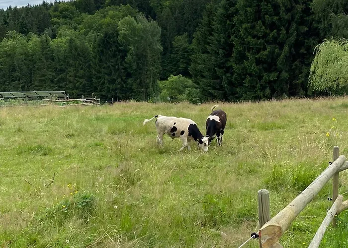 34 Apartment Lemsitz